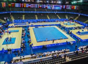 Հայաստանի մարմնամարզիկները ուժերը կփորձեն օղակներում եւ պտտաձողում