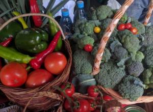 Թուրքիայից վտանգավոր մթերք է արտահանվում. ԳԱԱ-ն զգուշացնում է