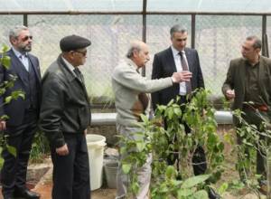 Առաջարկել են  քննարկել հայկական մուֆլոնի և  ընտանի ոչխարի  խաչասերման հարցը