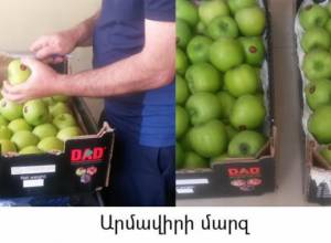 ՍԱՊԾ-ն կվերահսկի, որ խնձորի ամբողջ խմբաքանակը  հանվի շուկայից ու ոչնչացվի