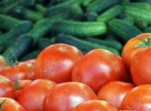 Կասկածում եմ, որ գյուղնախարարությունը  տեղյակ է բոլոր խնդիրներից. ֆերմեր