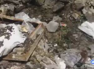 Крытый рынок – крысятник: Прямой эфир