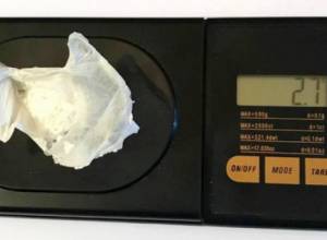 Police to answer questions of Diaspora Armenians via Skype