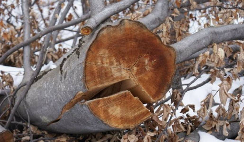 6328dce0a5ec08fba5d7e88d89d4de86