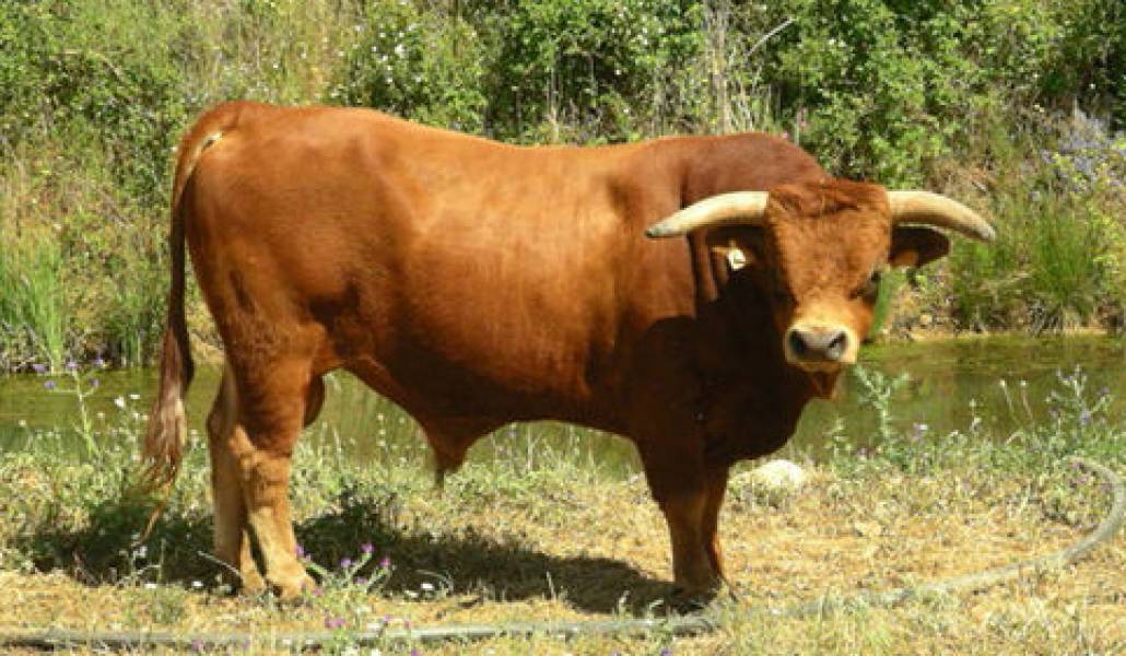 DISNAuvhnF89QR4XbEyCgSDjYe