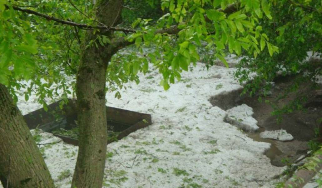 8c378bb6e28f62be5d42d89133cc4665