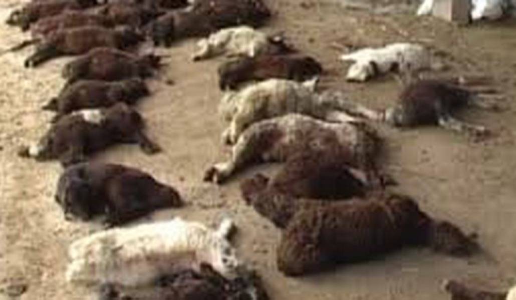 2743107f79ceaba5fb8bd64cf16c5d3b