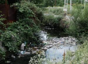 Ջրատար է լցվում կոյուղին, կատու, շուն, աղբ