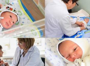 424 babies born in Yerevan in one week