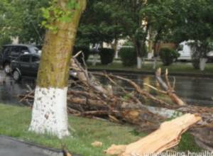 Поврежденные строения, крыши, сломаные деревья – ураган в Ереване