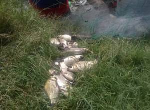 Ապօրինի ձկնորսություն՝ բնության հատուկ պահպանվող տարածքներում