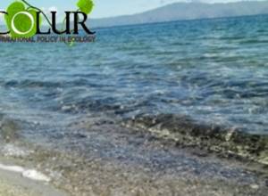 Սևանա լճից հավելյալ ջրառի որոշումը հակասում է օրենսդրությանը. ԷկոԼուր