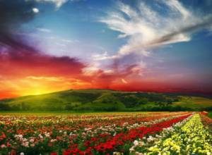 С сегодняшнего дня – переход к летнему режиму