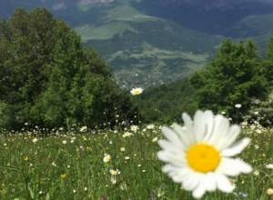 Weather: Five-day forecast for Armenia