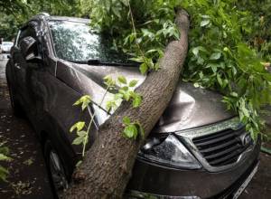 Hurricane in Moscow leaves killed, injured, delayed flights in its way