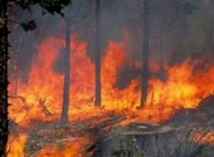 В Нор-Норке сгорели около 100 кв. м травяного покрытия и пострадали от нагрева около 20 деревьев