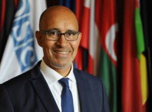 OSCE media freedom representative calls on Turkey to release imprisoned journalists