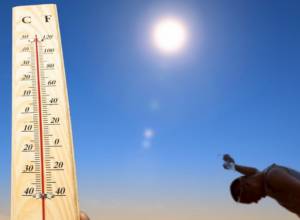 It’s recommended to avoid direct sunrays