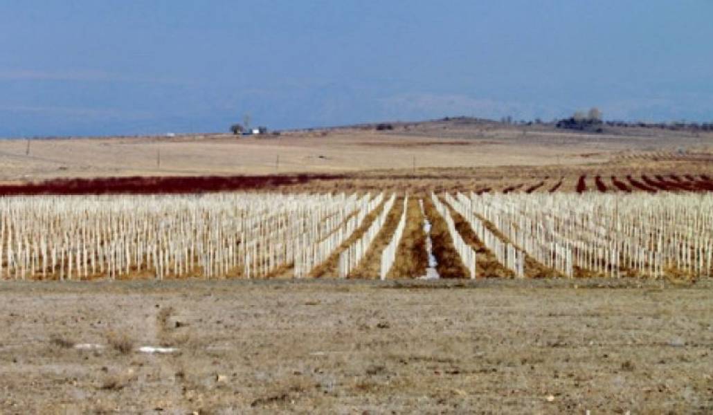 37694fea55f1f75e7ffc73a29ed7ef94