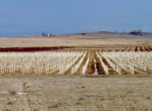 Առաջարկվում է ներդնել այլընտրանքային ոռոգման համակարգ