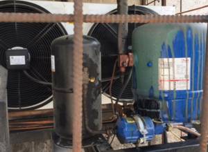 Գործարարը կարող է ենթադրել, թե ինչու են վնասել բանանի սառնարանները. Առավոտ