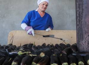 Վերամշակող ընկերությունները հետաքրքրված են մատչելի վարկերով