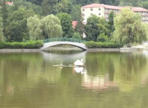 Ինչու է Դիլիջանի ջուրը պղտոր