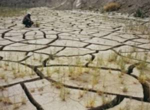 Ոռոգվում է հողատարածքների  միայն կեսը