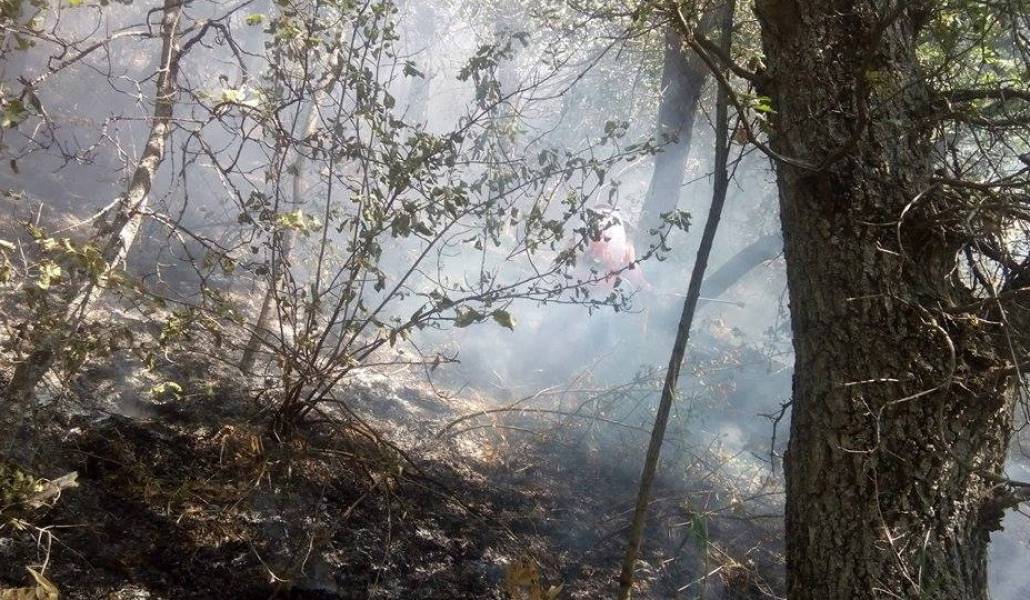 21106606_1829428763972478_6178939224604796484_n