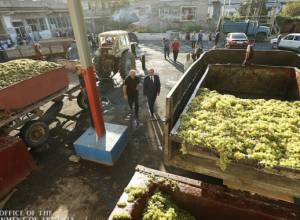 Ի գիտություն Արարատի և Արմավիրի մարզերի խաղողագործների