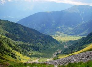 «Դիլիջան» ազգային պարկում այրվել է մոտ 2,5 հա տարածք