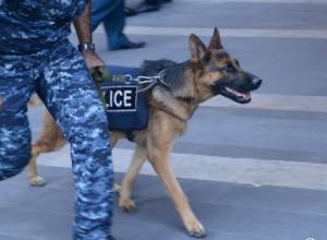 Тревожный звонок о бомбе в здании Национального собрания