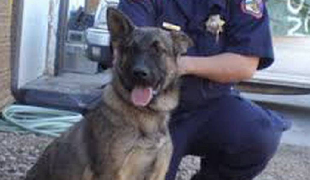 431d7e6a3717f68f965907e2fab71da9