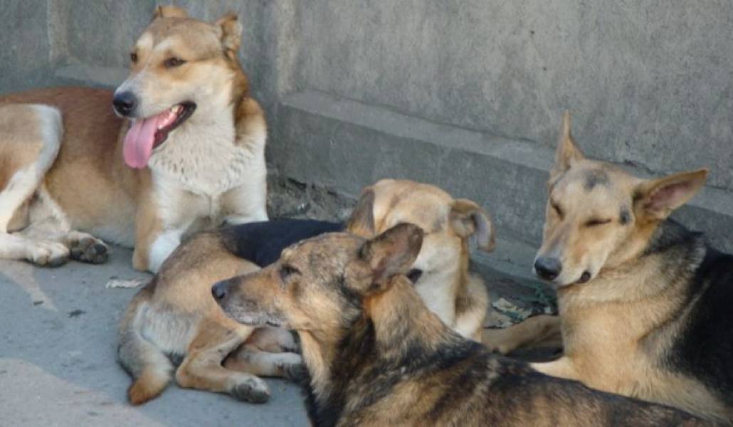 e9d5f87c68a1c909031bd760f573340f