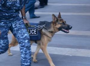 Уменьшилось число убийств: разьяснение полиции