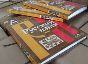 Концепция русского языка: обсуждение в прямом эфире