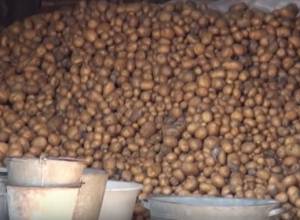 Բերքահավաքն ավարտված է,  սպասում են գնորդների