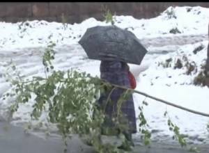 First snow drops in Gavar