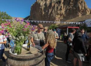 20.000 այցելու՝  «Արենի» գինու 9-րդ փառատոնին