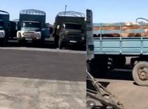 Մեծ քանակությամբ կովեր են արտահանվում. armtimes.com