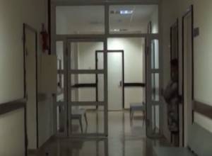 About 600 people are registered in Alaverdi's mental health center  (video)