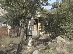 Three candidates are from Odzun