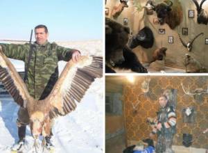 Ոստիկանությունը հայտնաբերել է անգղի որս կատարած անձին. մանրամասներ