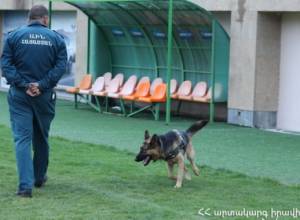 Соревнуются служебные собаки: спасатель Джек - наилучший