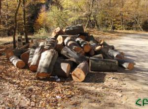 Арестован по подозрению в создании и руководстве стабильной преступной группой