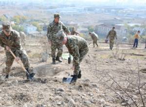 «Եռաբլուր»-ում տնկվել է ավելի քան երկու հազար ծառ