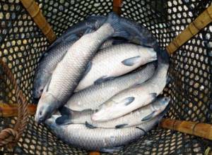 Շրջակա միջավայրին հասցված վնասի չափը  կազմել է 3.144.141 ՀՀ դրամ