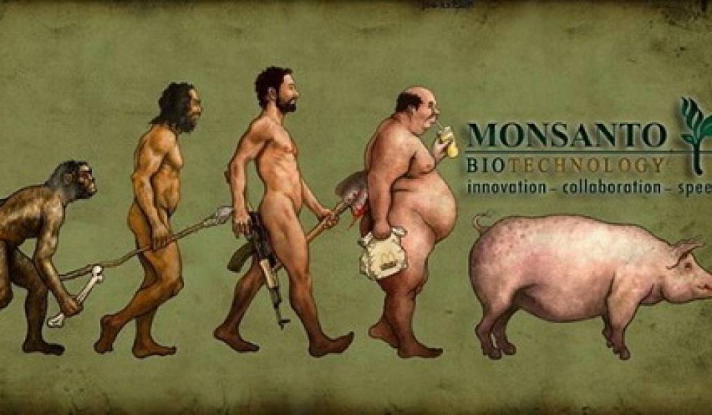 monsanto-evolution