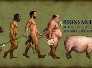 Семя ГМО основательно портит землю