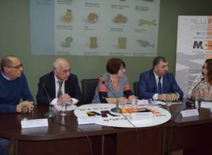 Խաղալիքներում առկա ֆտալատն ազդում է գլխուղեղի վրա, առաջացնում է քաղցկեղ